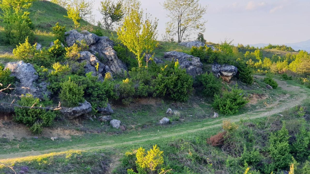 Hotel Бялата Къща Chakalarovo Zewnętrze zdjęcie